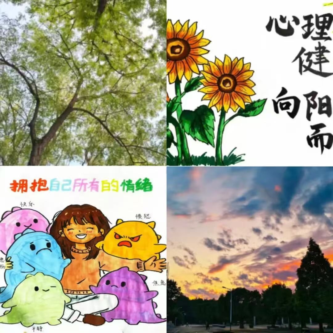 心播报|各二级学院心理活动风采展示（二十一）